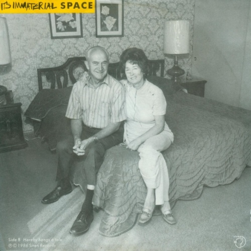 Vinyl / It's Immaterial - Space