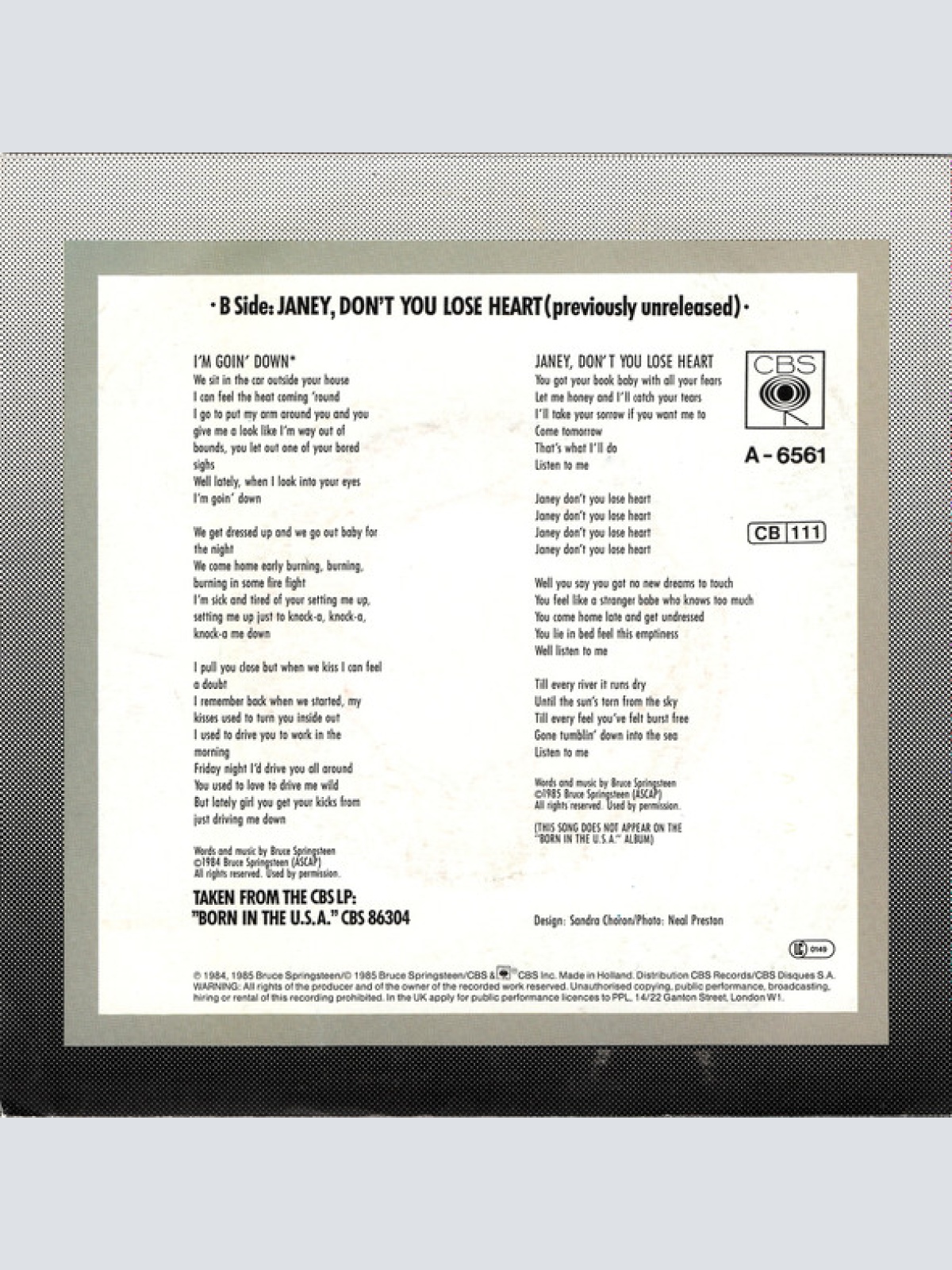 Vinyl / Bruce Springsteen - I'm Goin' Down