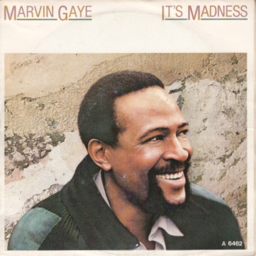 Vinyl / Marvin Gaye - It's Madness