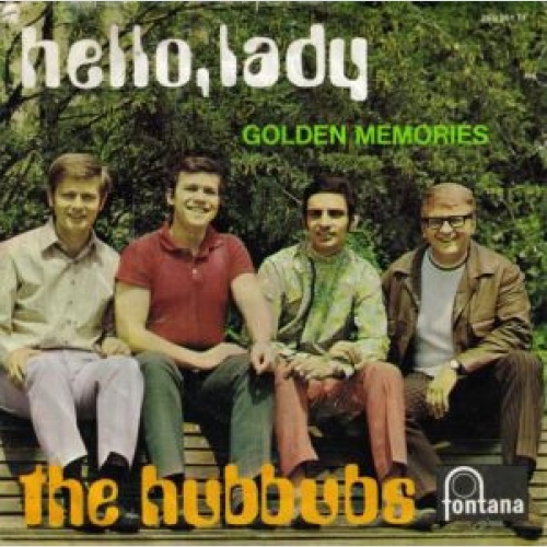 Vinyl / The Hubbubs - Hello, Lady