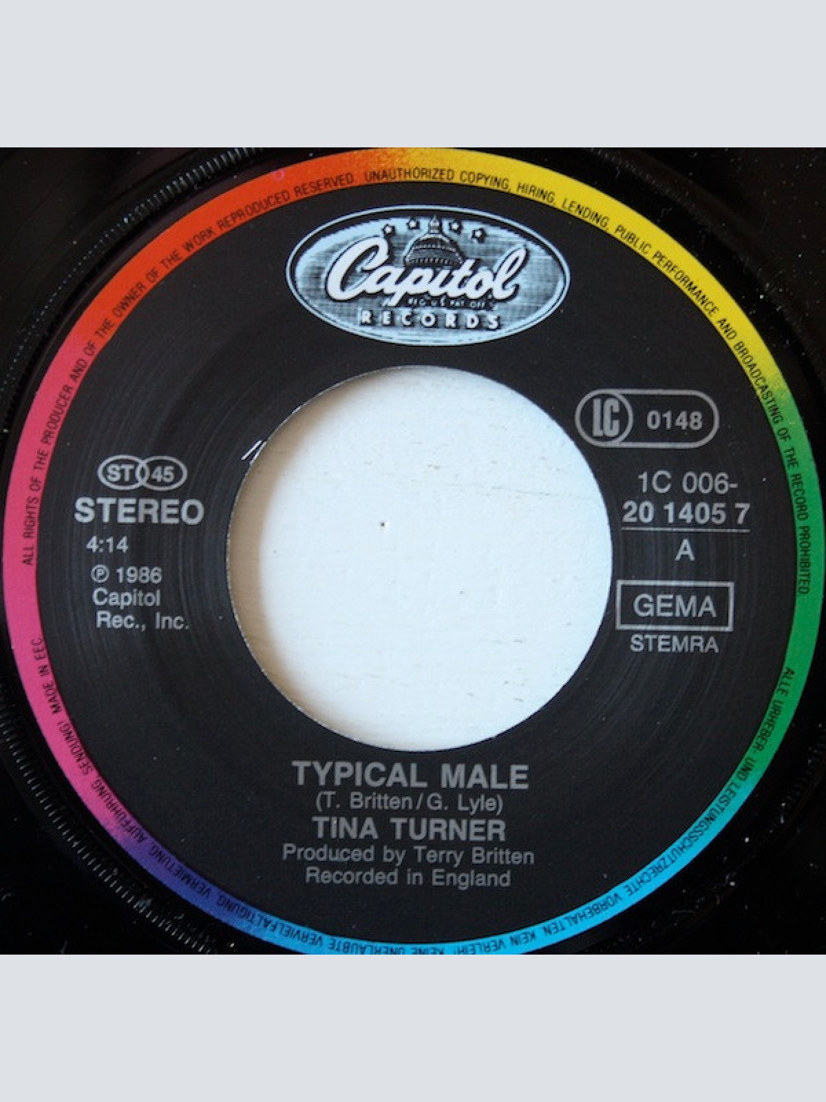 Vinyl / Tina Turner - Typical Male