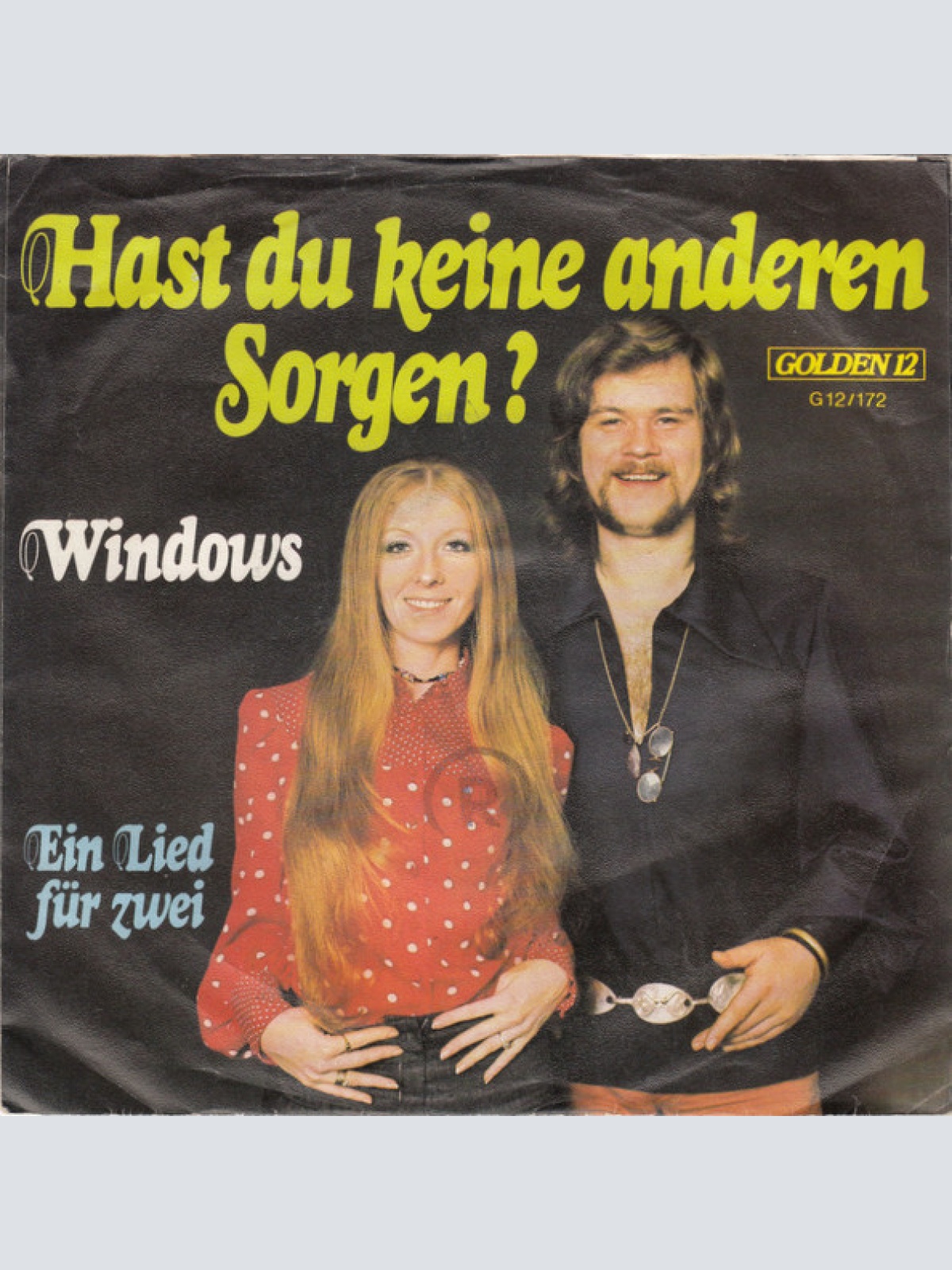 Vinyl / Windows (2) - Hast Du Keine Anderen Sorgen?