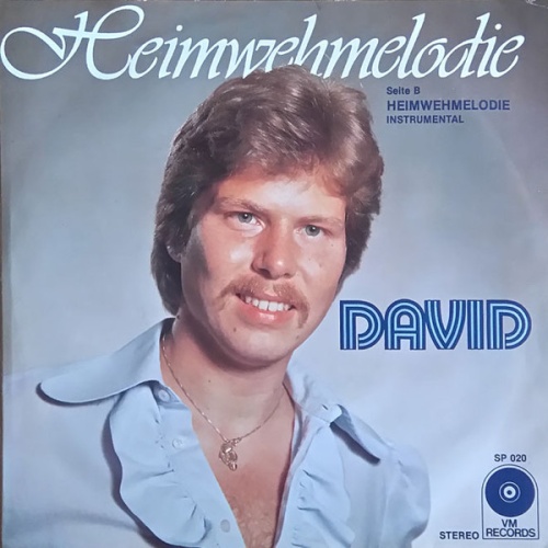 Vinyl / David (27) - Heimwehmelodie