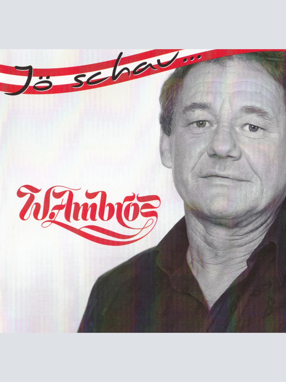 CD / W. Ambros* - Jö Schau...
