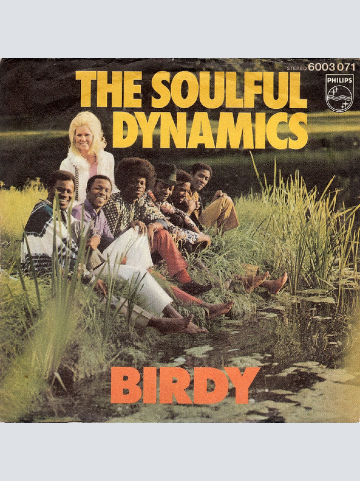 Vinyl / The Soulful Dynamics* - Birdy