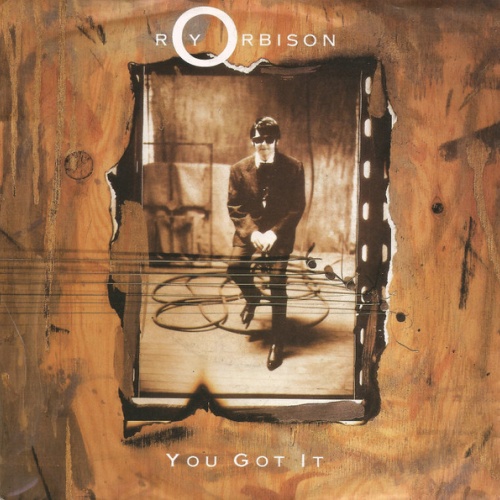 Vinyl / Roy Orbison - You Got It