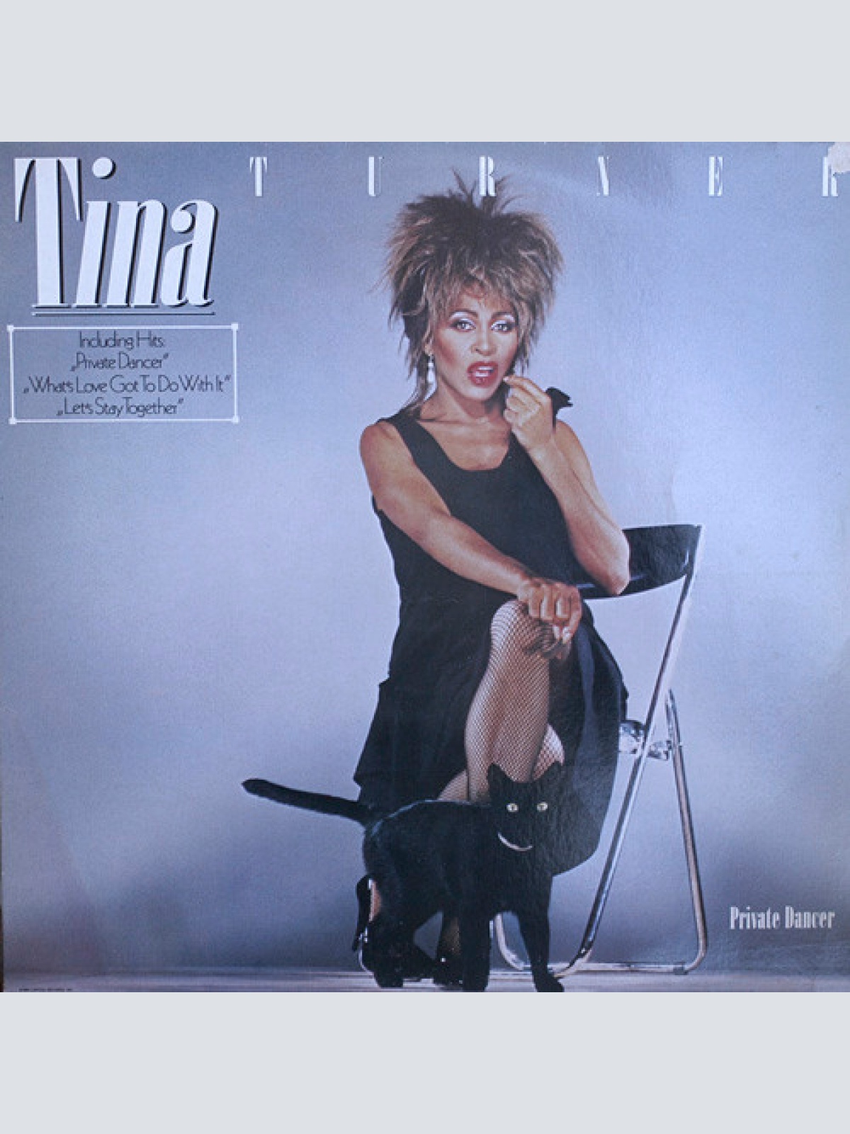 Vinyl / Tina Turner - Private Dancer