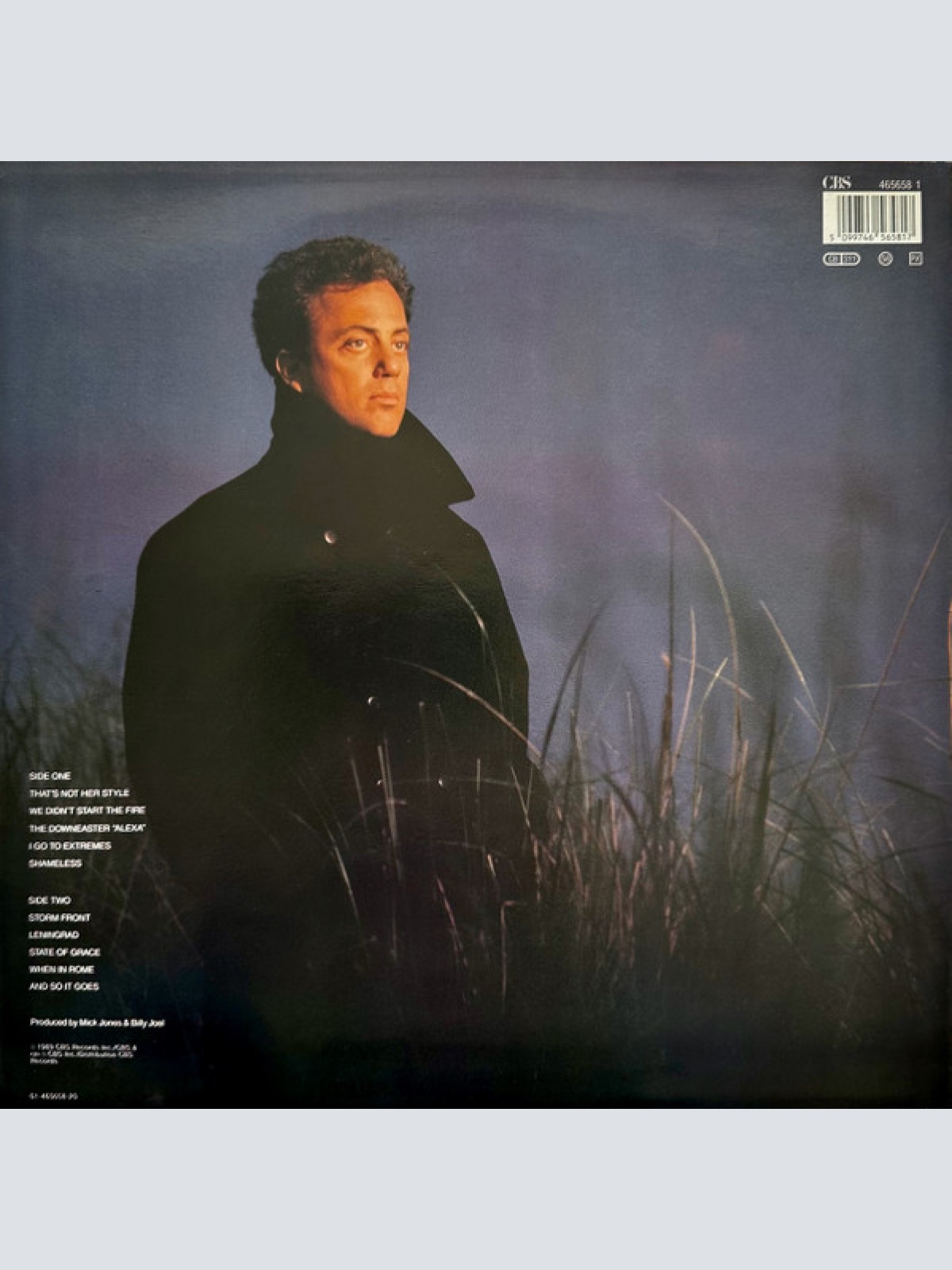 Vinyl / Billy Joel - Storm Front