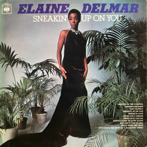 Vinyl / Elaine Delmar - Sneakin' Up On You