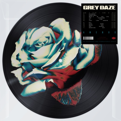 Vinyl / Grey Daze - Amends
