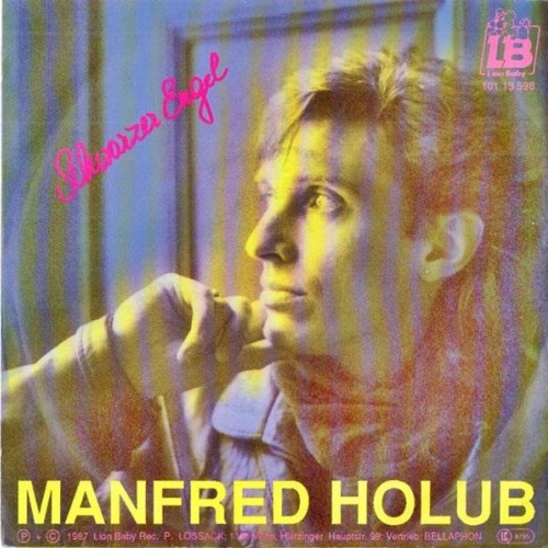 Vinyl / Manfred Holub - Schwarzer Engel