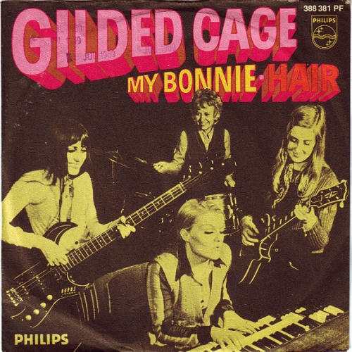 Vinyl / Gilded Cage - My Bonnie / Hair