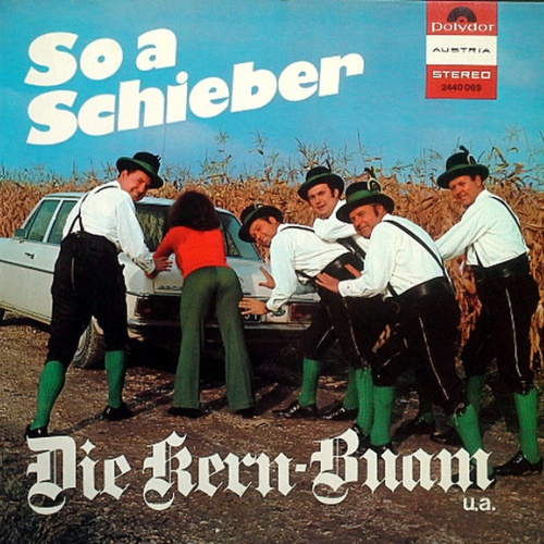 Vinyl / Various - So A Schieber