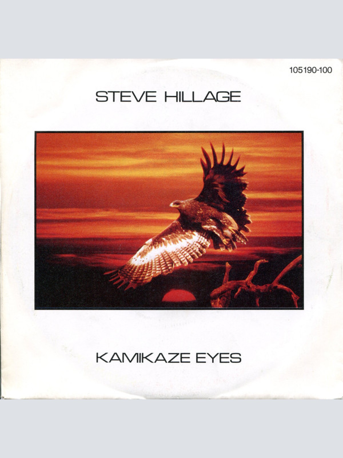 Vinyl / Steve Hillage - Kamikaze Eyes