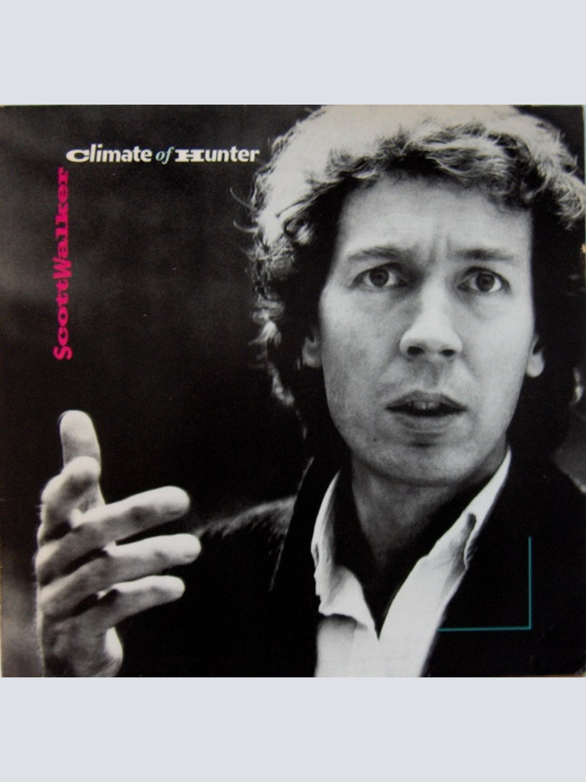 Vinyl / Scott Walker - Climate Of Hunter