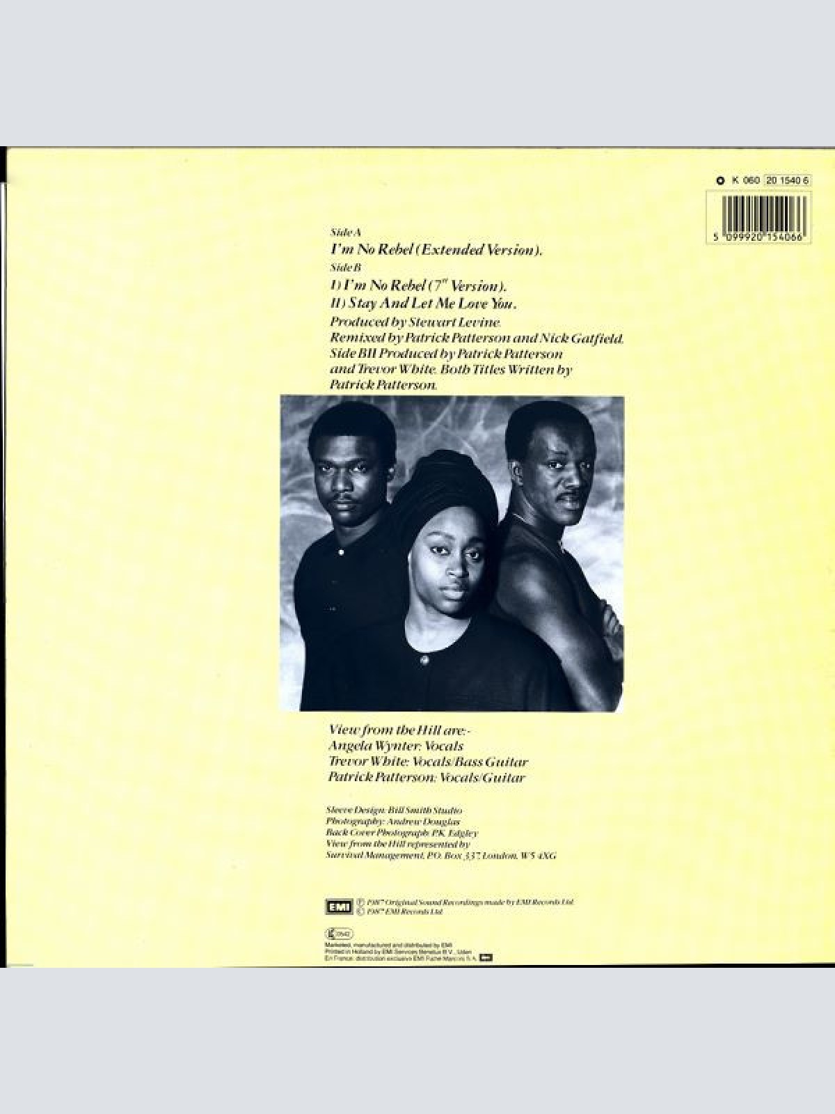 Vinyl / View From The Hill - I'm No Rebel