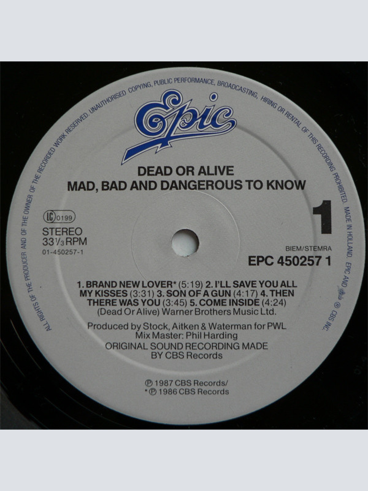 Vinyl / Dead Or Alive - Mad, Bad And Dangerous To Know