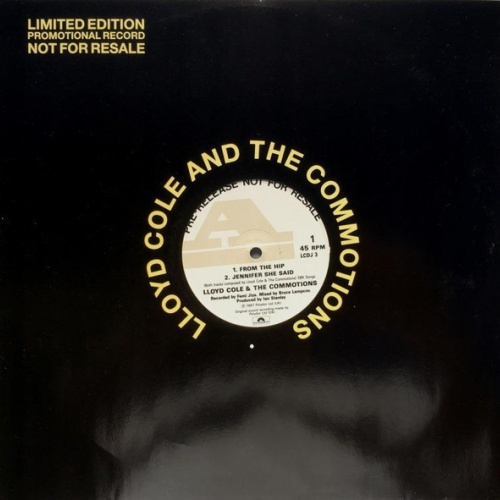 Vinyl / Lloyd Cole And The Commotions* - From The Hip