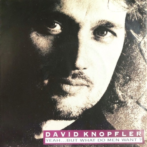 Vinyl / David Knopfler - Yeah... But What Do Men Want?