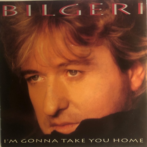 Vinyl / Bilgeri - I'm Gonna Take You Home