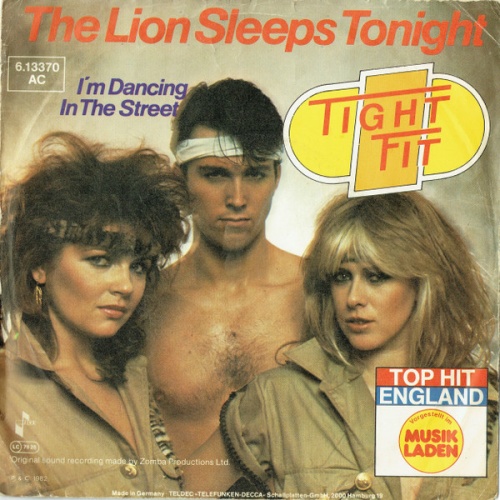 Vinyl / Tight Fit - The Lion Sleeps Tonight