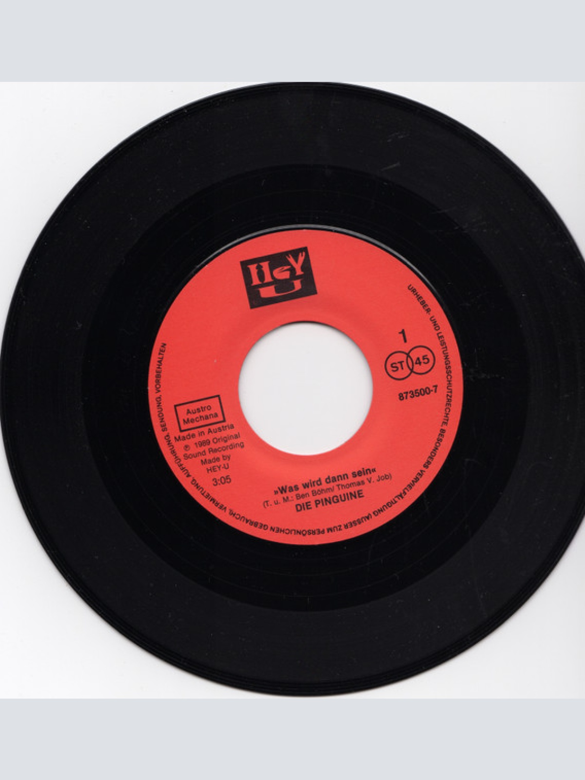 Vinyl / Die Pinguine - Was Wird Dann Sein