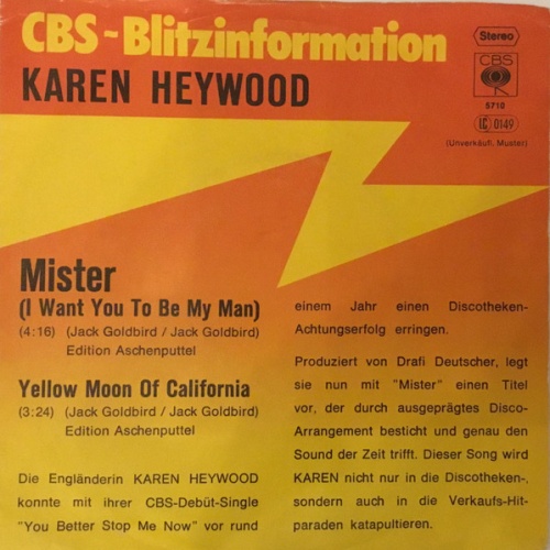 Vinyl / Karen Heywood - Mister (I Want You To Be My Man)