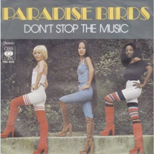 Vinyl / Paradise Birds - Don't Stop The Music