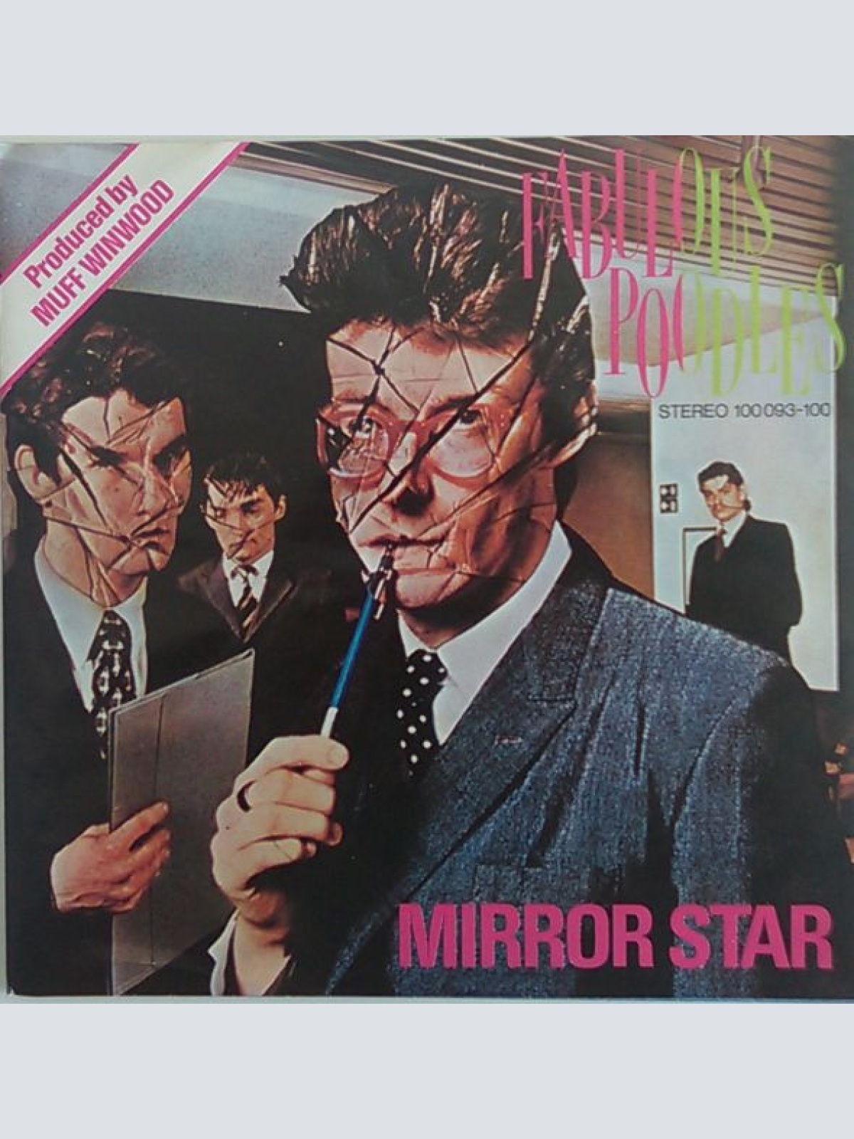 Vinyl / Fabulous Poodles - Mirror Star