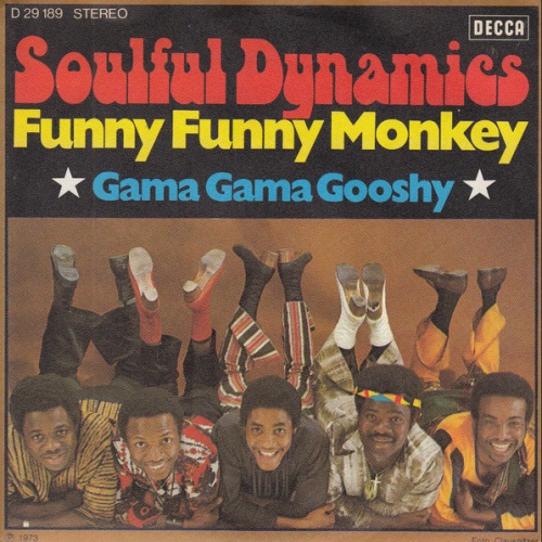 Vinyl / Soulful Dynamics - Funny Funny Monkey