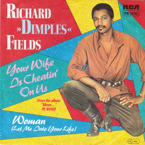 Vinyl / Richard 'Dimples' Fields - Your Wife Is Cheatin' On Us