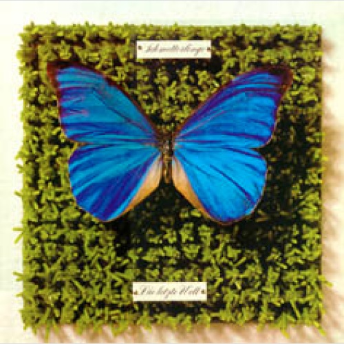 Vinyl / Schmetterlinge - Die Letzte Welt