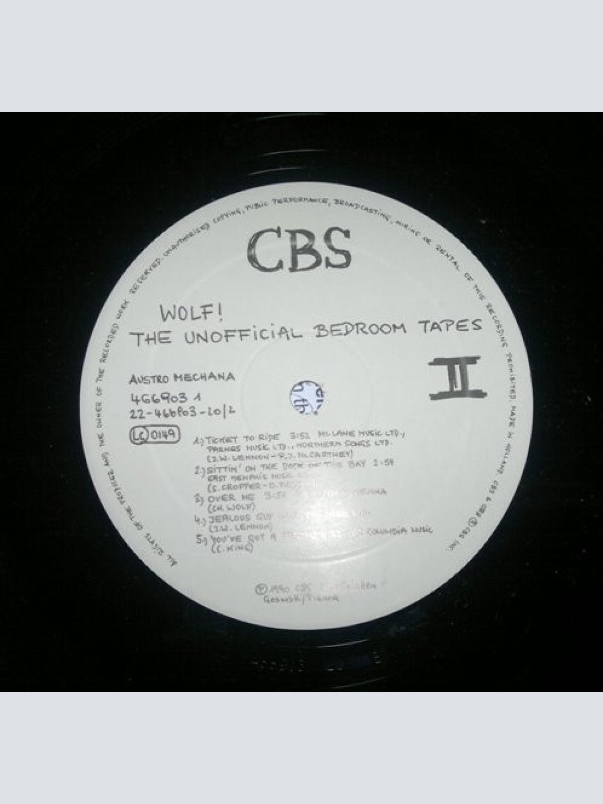 Vinyl / Wolf! - The Unofficial Bedroom Tapes