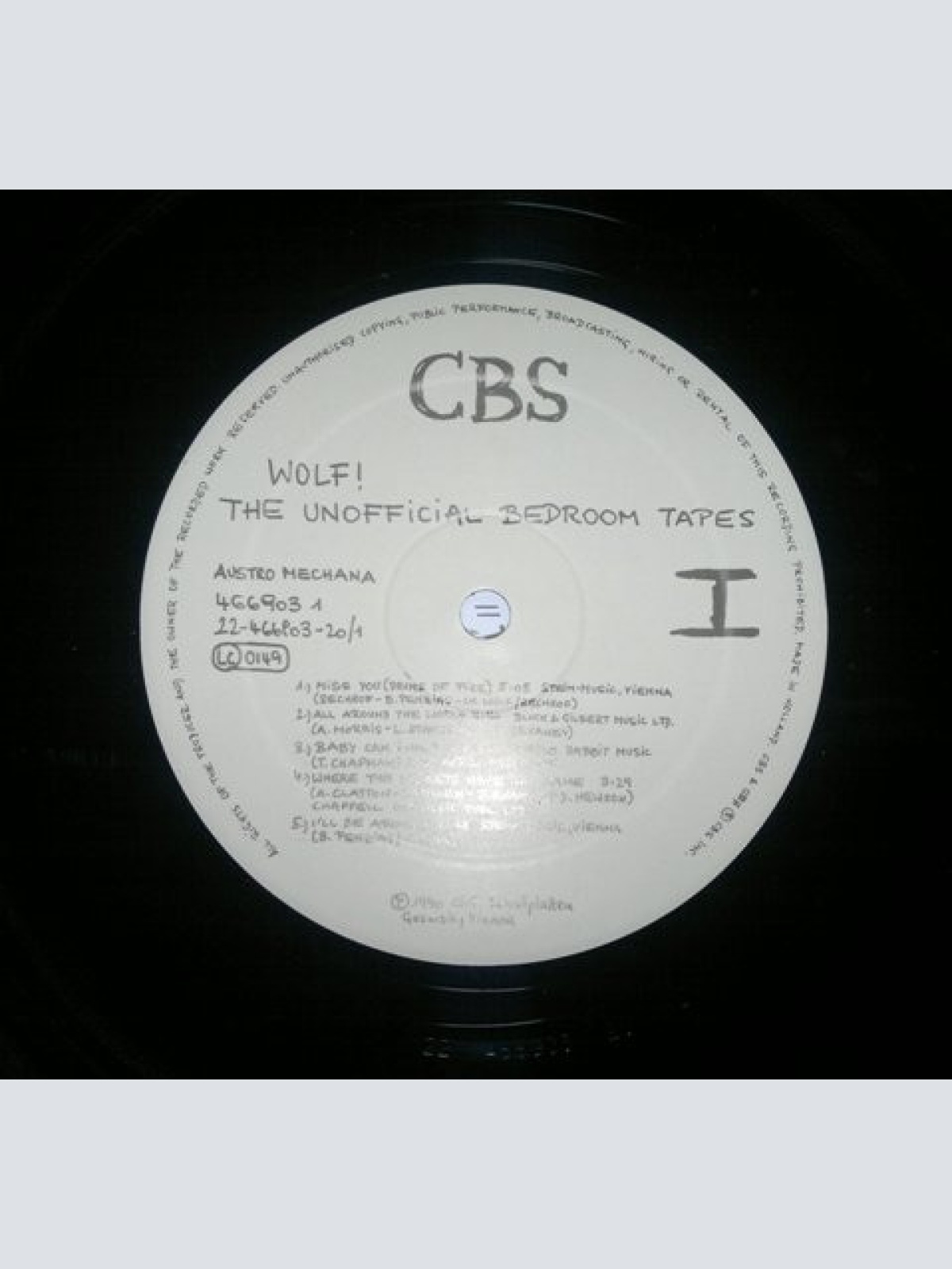 Vinyl / Wolf! - The Unofficial Bedroom Tapes