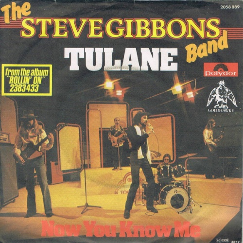 Vinyl / The Steve Gibbons Band* - Tulane