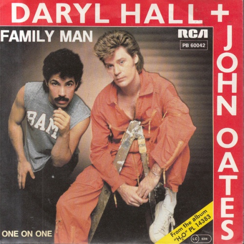 Vinyl / Daryl Hall + John Oates* - Family Man