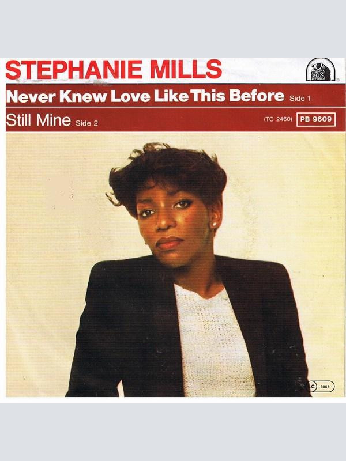 Vinyl / Stephanie Mills - Never Knew Love Like This Before