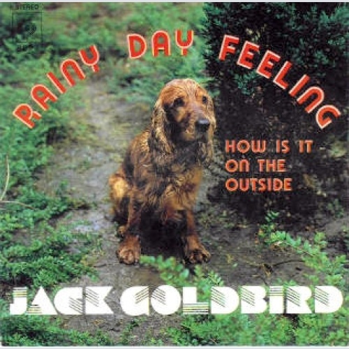 Vinyl / Jack Goldbird - Rainy Day Feeling