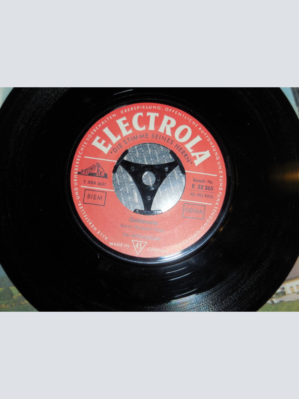 Vinyl / Die Hoffnungsthaler - Goldmarie