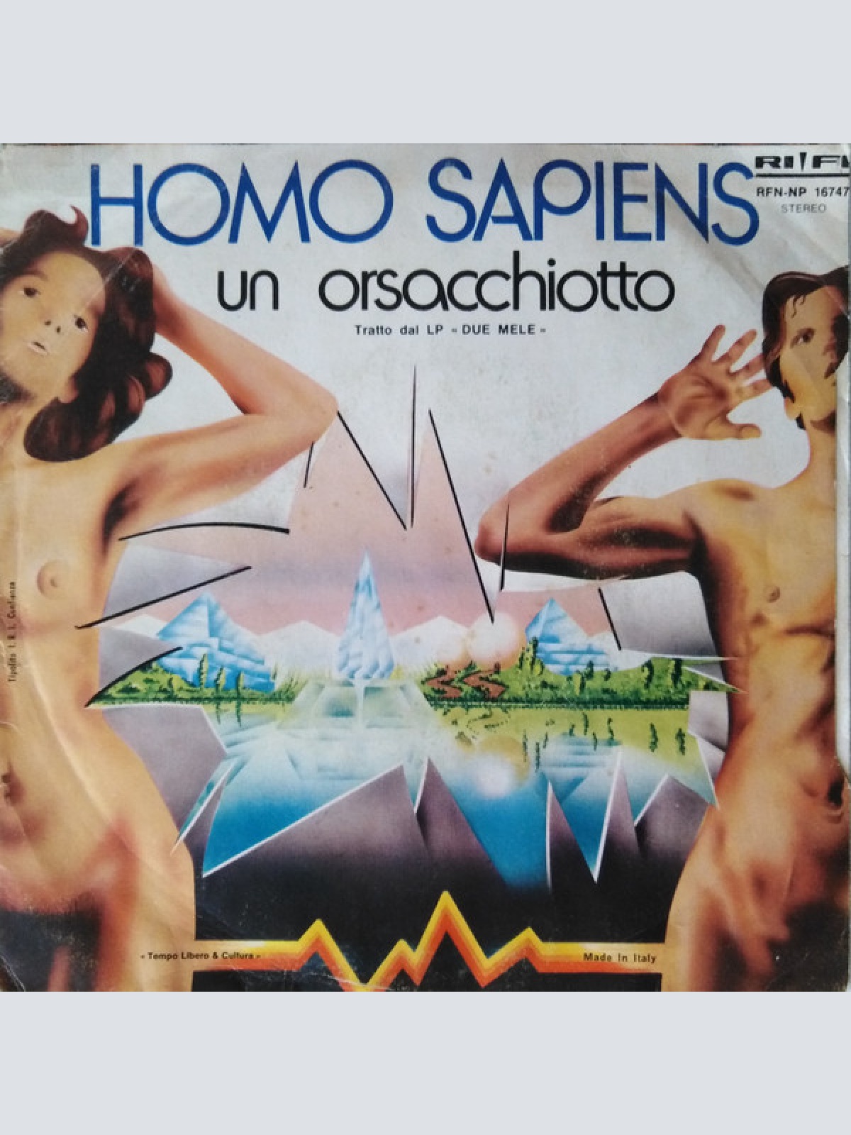 Vinyl / Homo Sapiens (2) - Due Mele