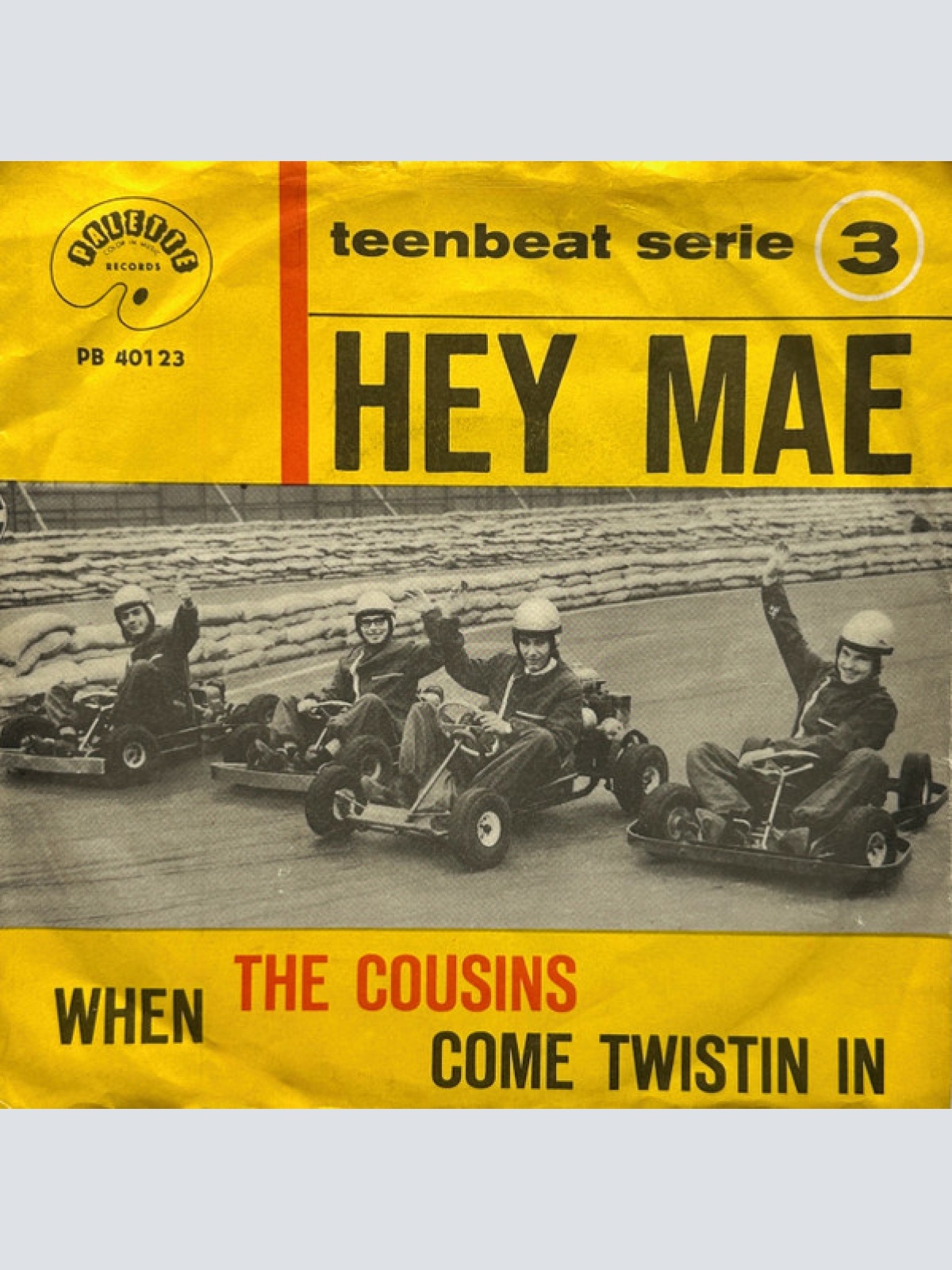 Vinyl / The Cousins - Hey Mae