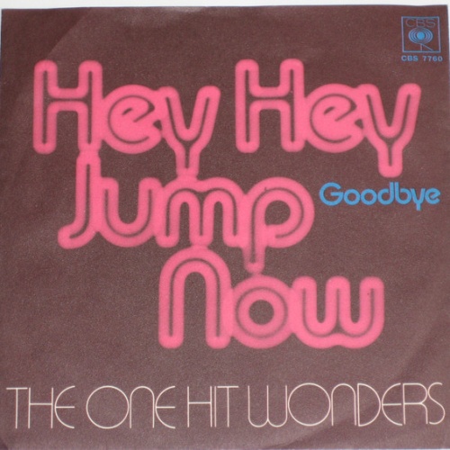 Vinyl / The One Hit Wonders - Hey Hey Jump Now