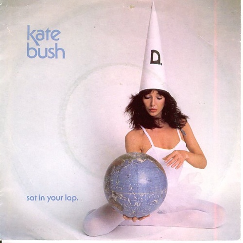 Vinyl / Kate Bush - Sat In Your Lap.