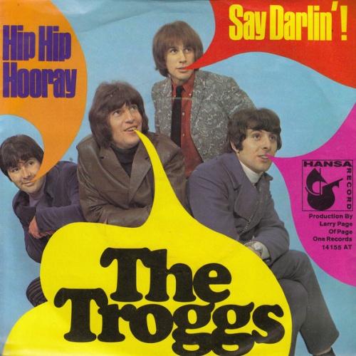 Vinyl / The Troggs - Hip Hip Hooray / Say Darlin'!