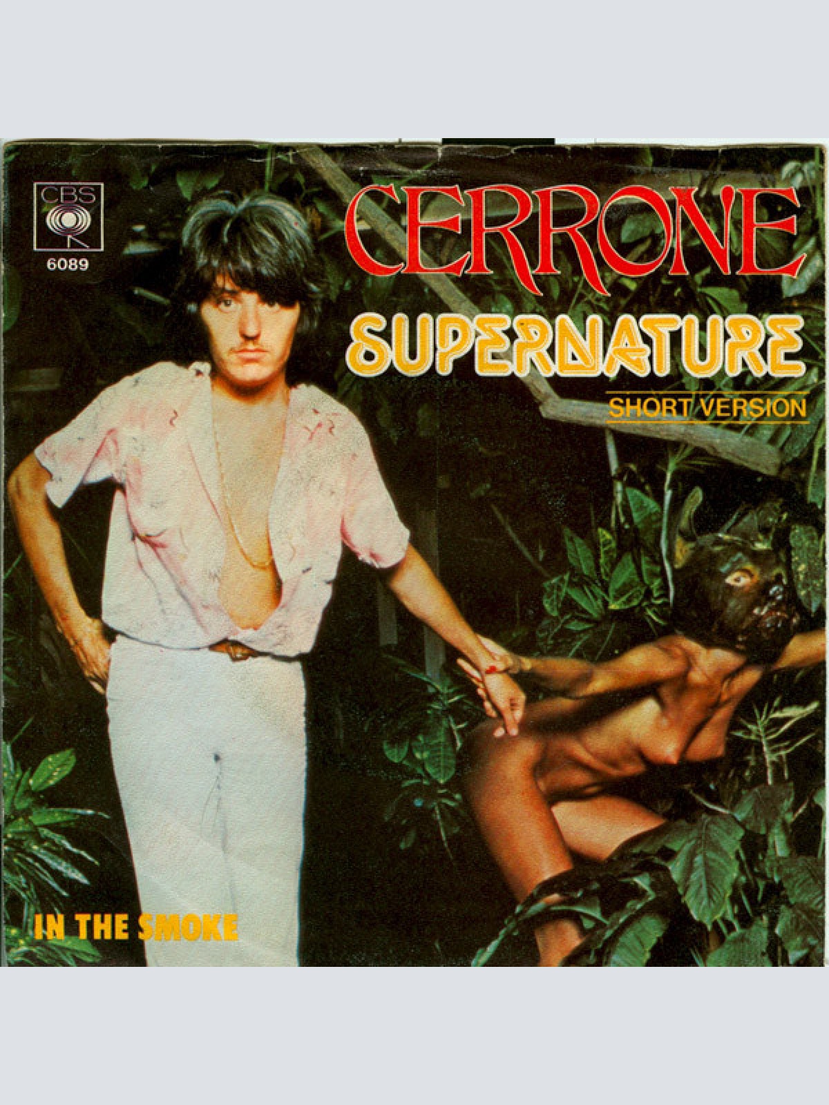 Vinyl / Cerrone - Supernature (Short Version)