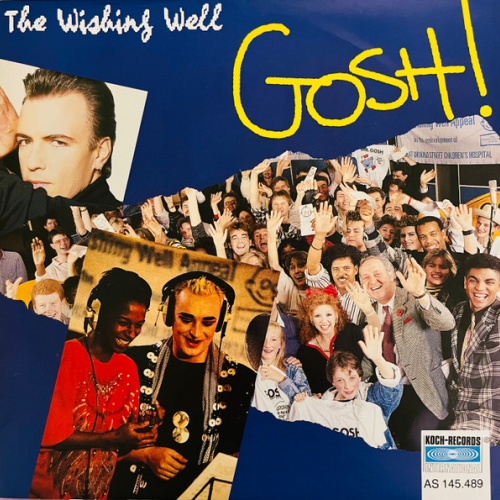 Vinyl / G.O.S.H. - The Wishing Well