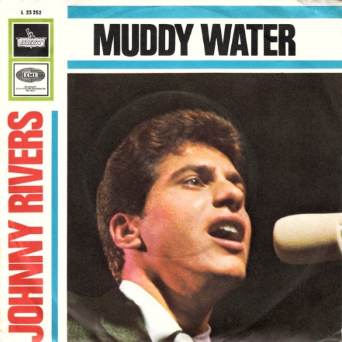 Vinyl / Johnny Rivers - Muddy Water