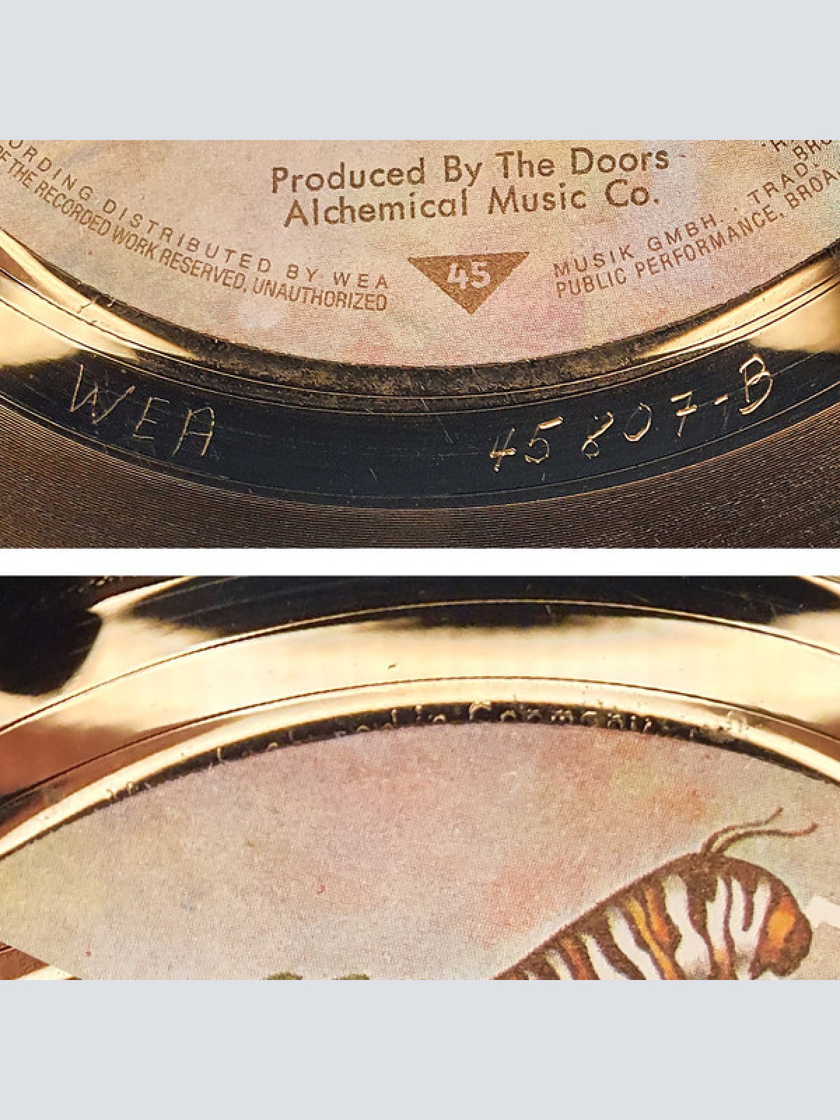 Vinyl / The Doors - The Mosquito