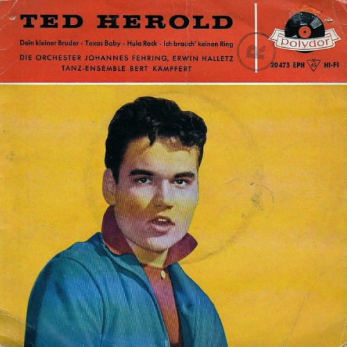 Vinyl / Ted Herold - Dein Kleiner Bruder