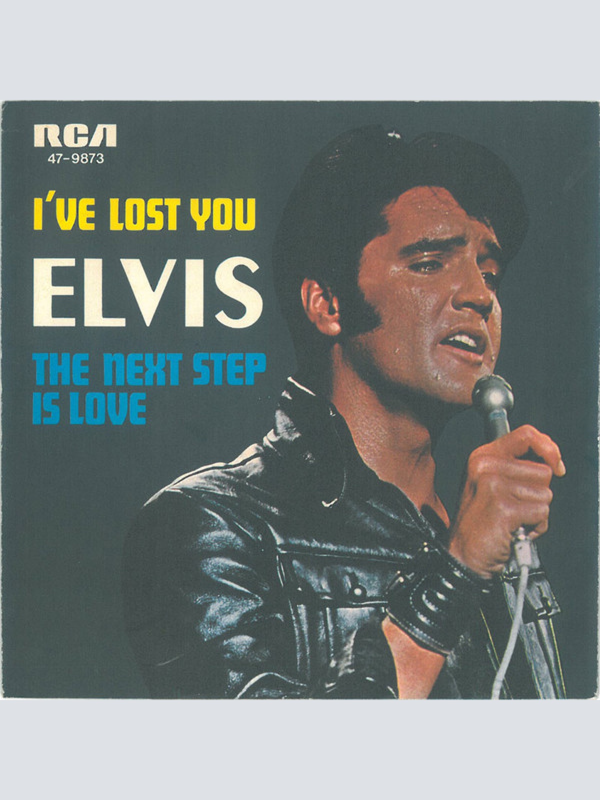 Vinyl / Elvis* - I've Lost You / The Next Step Is Love